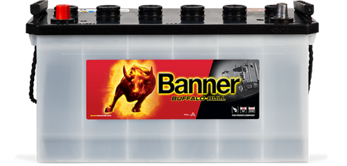 Banner Buffalo Bull  12v 100Ah