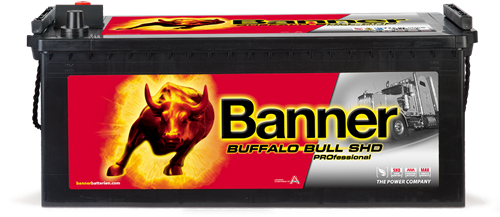 Banner Buffalo Bull  SHD PRO 12v 180Ah