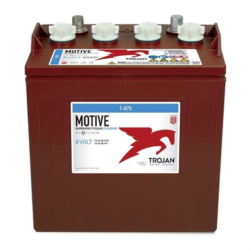 Trojan Tractions Öppna 8v 170Ah