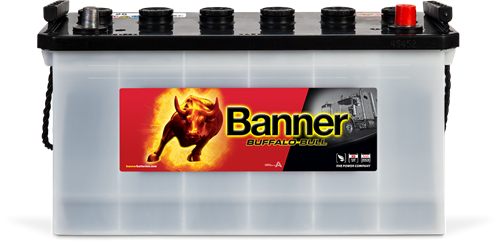 Banner Buffalo Bull  12v 100Ah