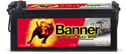 Banner Buffalo Bull  SHD PRO 12v 225Ah
