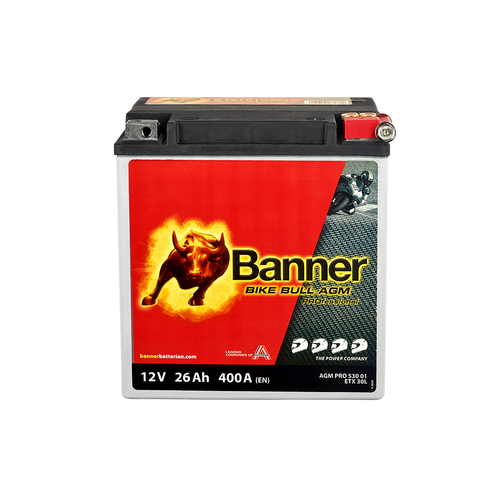 Odyssey AGM 12V 30Ah (YTX30L-BS)